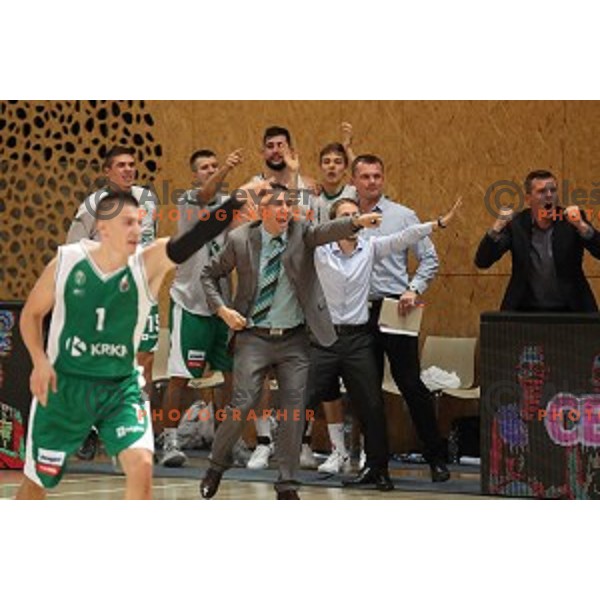 Dejan Mihevc, head coach of Krka in action during Slovenian SuperCup between Krka and Helios Suns in Podcetrtek on September 28, 2016