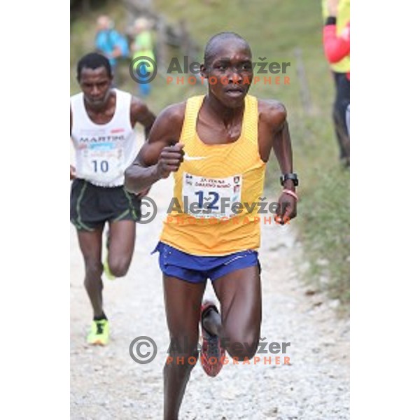 Victor Kiplangat (UGA), runner-up of 37. Smarna Gora race- WMRA Grand Prix Final, Ljubljana, Slovenia on October 1, 2016 