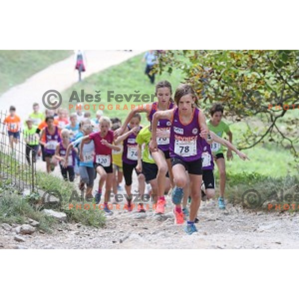 37. Smarna Gora race- WMRA Grand Prix Final, Ljubljana, Slovenia on October 1, 2016