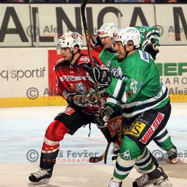 Music at match ZM Olimpija-Acroni Jesenice in Ebel league,played in Ljubljana,Slovenia 7.10.2007. Photo by Ales Fevzer 