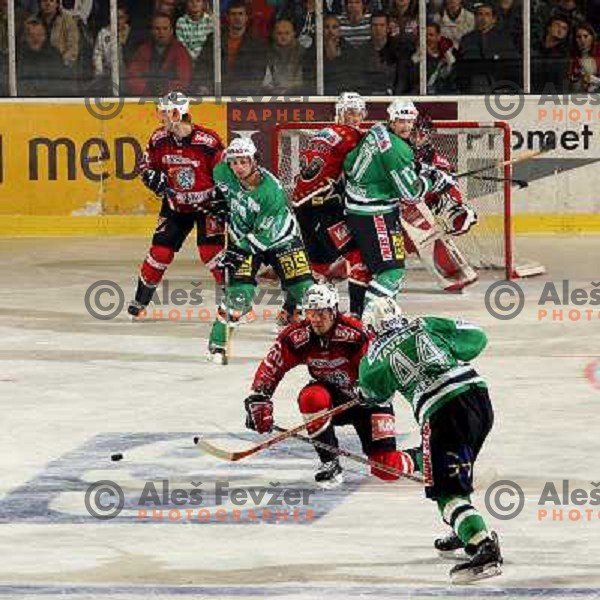 Tavzelj at match ZM Olimpija-Acroni Jesenice in Ebel league,played in Ljubljana,Slovenia 7.10.2007. Photo by Ales Fevzer 