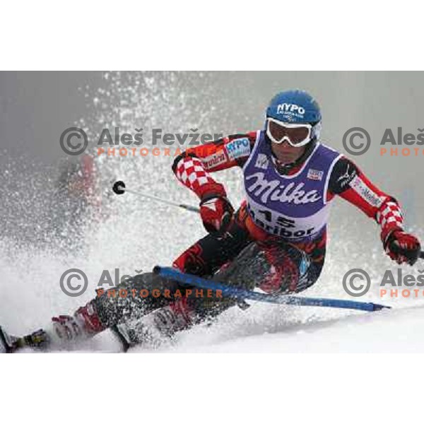 Fleiss Nika