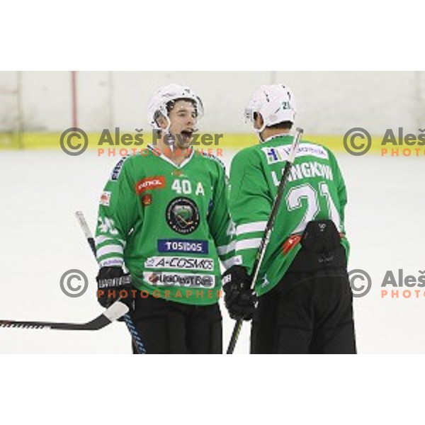 Jonathan Harty of Olimpija Ljubljana in action during ice-hockey match between Olimpija Ljubljana and Graz in EBEL league 2016/2017 in Tivoli Hall, Ljubljana, Slovenia on October, 2016
