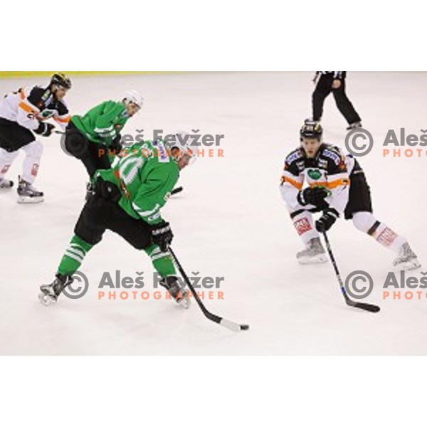 Anze Ropret of Olimpija Ljubljana in action during ice-hockey match between Olimpija Ljubljana and Graz in EBEL league 2016/2017 in Tivoli Hall, Ljubljana, Slovenia on October, 2016