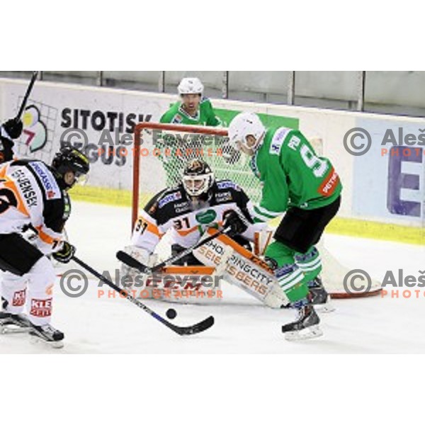 Nik Pem of Olimpija Ljubljana in action during ice-hockey match between Olimpija Ljubljana and Graz in EBEL league 2016/2017 in Tivoli Hall, Ljubljana, Slovenia on October, 2016