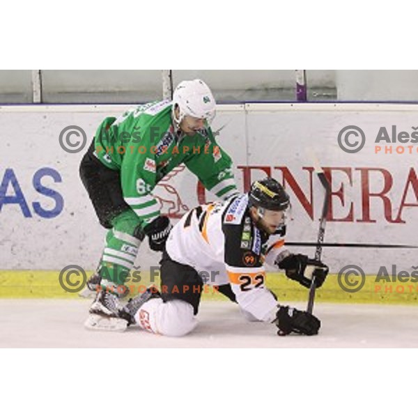 Bussieres Raphael of Olimpija Ljubljana in action during ice-hockey match between Olimpija Ljubljana and Graz in EBEL league 2016/2017 in Tivoli Hall, Ljubljana, Slovenia on October, 2016