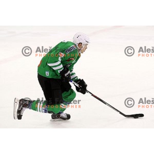 Nik Pem of Olimpija Ljubljana in action during ice-hockey match between Olimpija Ljubljana and Graz in EBEL league 2016/2017 in Tivoli Hall, Ljubljana, Slovenia on October, 2016