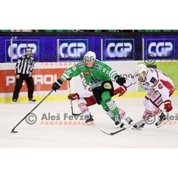 Adis Alagic of Olimpija Ljubljana in action during EBEL league 2016/2017 ice-hockey match between Olimpija Ljubljana and KAC in Tivoli Hall, Ljubljana, Slovenia on October 18, 2016