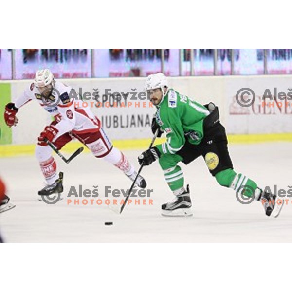 Ziga Pesut of Olimpija Ljubljana in action during EBEL league 2016/2017 ice-hockey match between Olimpija Ljubljana and KAC in Tivoli Hall, Ljubljana, Slovenia on October 18, 2016