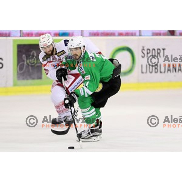 Ziga Pesut of Olimpija Ljubljana in action during EBEL league 2016/2017 ice-hockey match between Olimpija Ljubljana and KAC in Tivoli Hall, Ljubljana, Slovenia on October 18, 2016