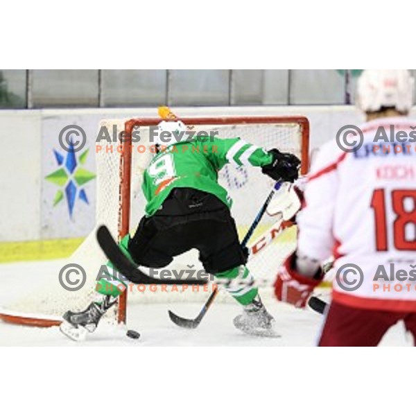 Nik Pem of Olimpija Ljubljana in action during EBEL league 2016/2017 ice-hockey match between Olimpija Ljubljana and KAC in Tivoli Hall, Ljubljana, Slovenia on October 18, 2016