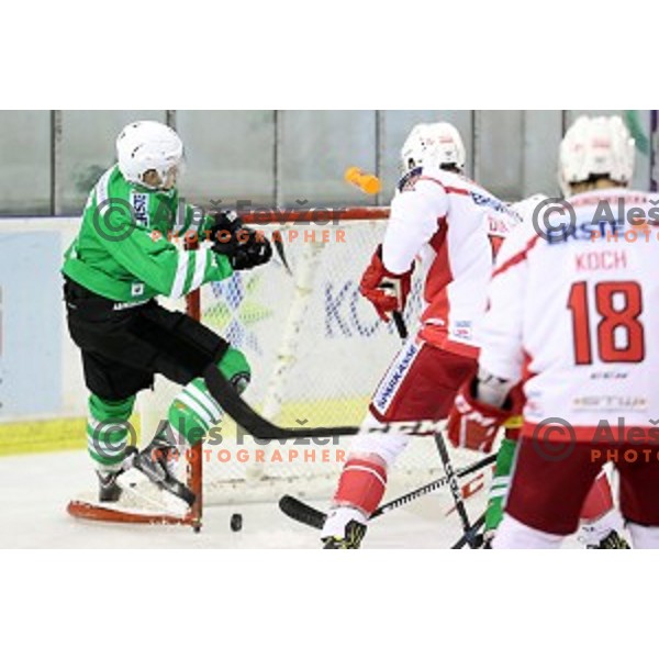 Nik Pem of Olimpija Ljubljana in action during EBEL league 2016/2017 ice-hockey match between Olimpija Ljubljana and KAC in Tivoli Hall, Ljubljana, Slovenia on October 18, 2016