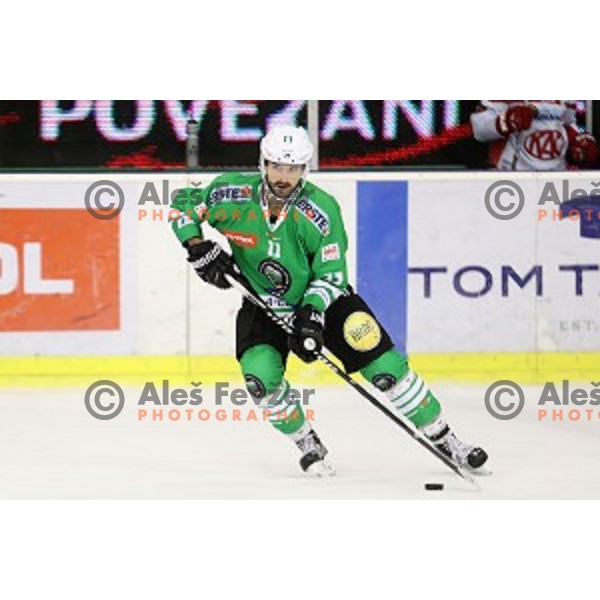Ziga Pesut of Olimpija Ljubljana in action during EBEL league 2016/2017 ice-hockey match between Olimpija Ljubljana and KAC in Tivoli Hall, Ljubljana, Slovenia on October 18, 2016