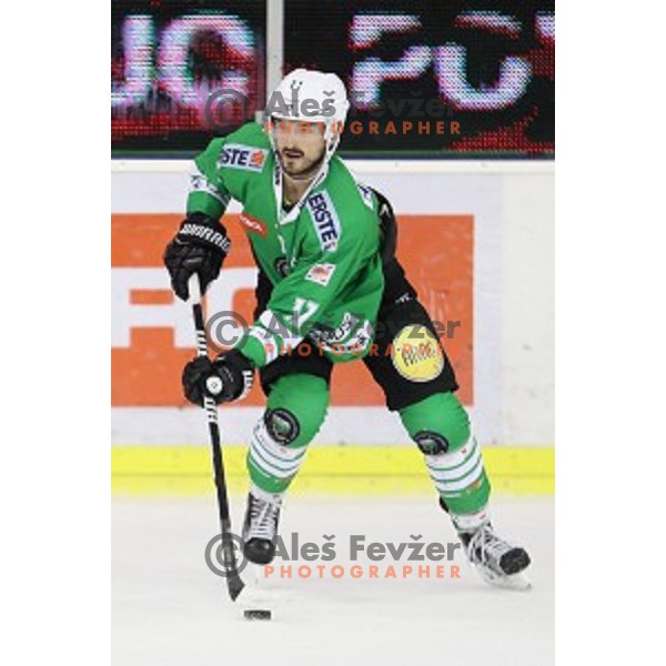 Ziga Pesut of Olimpija Ljubljana in action during EBEL league 2016/2017 ice-hockey match between Olimpija Ljubljana and KAC in Tivoli Hall, Ljubljana, Slovenia on October 18, 2016