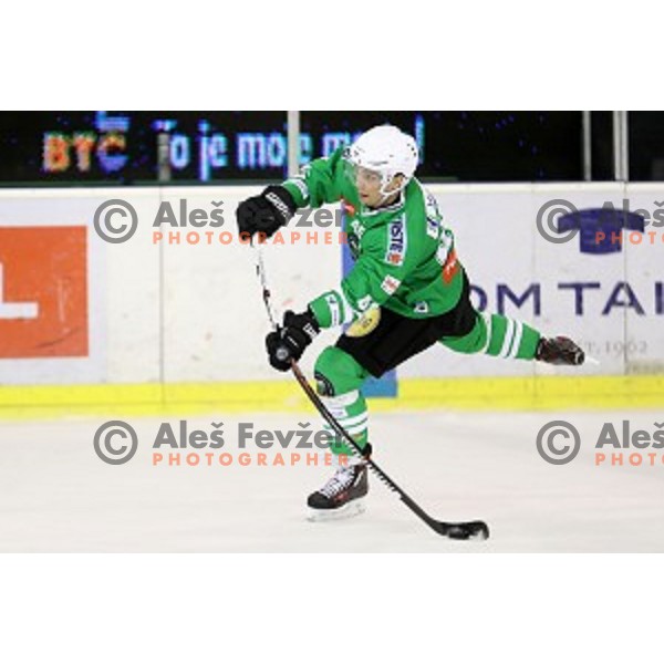of Olimpija Ljubljana in action during EBEL league 2016/2017 ice-hockey match between Olimpija Ljubljana and KAC in Tivoli Hall, Ljubljana, Slovenia on October 18, 2016