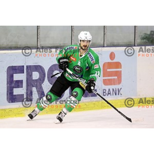Ziga Pesut of Olimpija Ljubljana in action during EBEL league 2016/2017 ice-hockey match between Olimpija Ljubljana and KAC in Tivoli Hall, Ljubljana, Slovenia on October 18, 2016