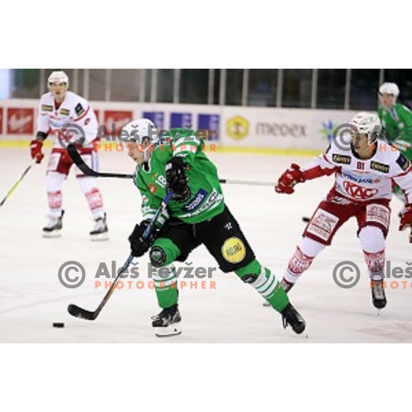 Tim Ograjensek of Olimpija Ljubljana in action during EBEL league 2016/2017 ice-hockey match between Olimpija Ljubljana and KAC in Tivoli Hall, Ljubljana, Slovenia on October 18, 2016