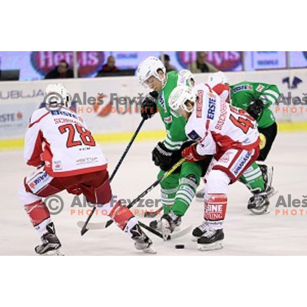 of Olimpija Ljubljana in action during EBEL league 2016/2017 ice-hockey match between Olimpija Ljubljana and KAC in Tivoli Hall, Ljubljana, Slovenia on October 18, 2016