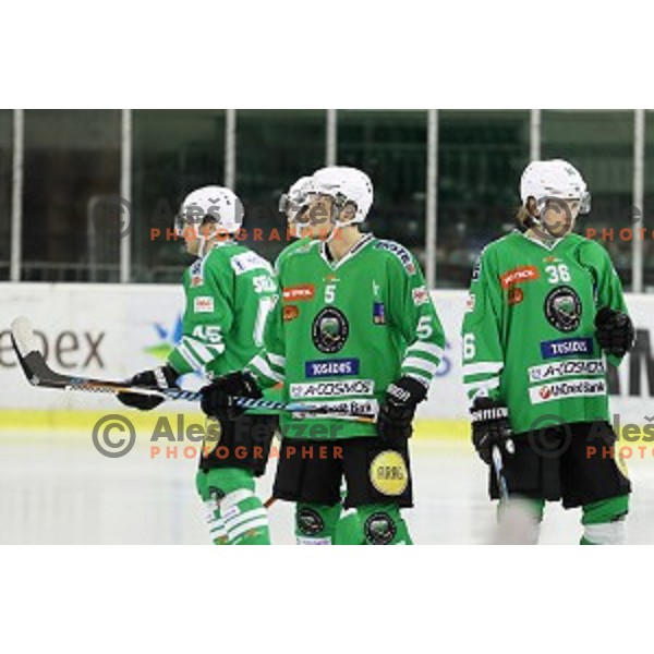 Aljaz Chvatal and Bazevics Kristaps of Olimpija Ljubljana in action during EBEL league 2016/2017 ice-hockey match between Olimpija Ljubljana and KAC in Tivoli Hall, Ljubljana, Slovenia on October 18, 2016
