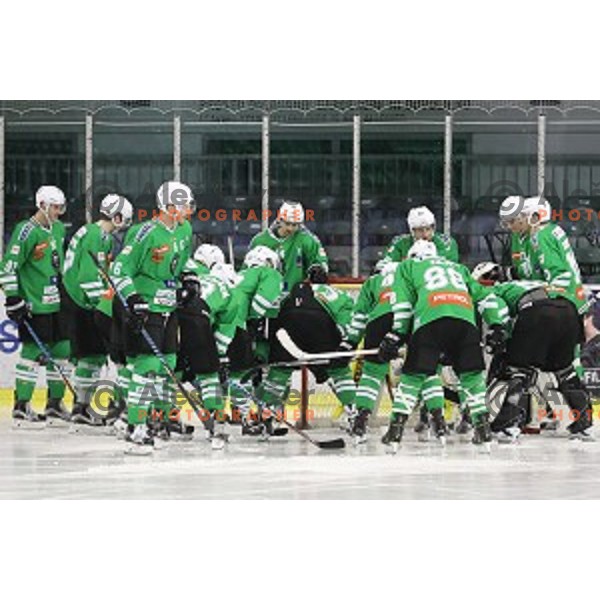 of Olimpija Ljubljana in action during EBEL league 2016/2017 ice-hockey match between Olimpija Ljubljana and KAC in Tivoli Hall, Ljubljana, Slovenia on October 18, 2016