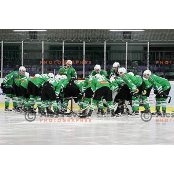 of Olimpija Ljubljana in action during EBEL league 2016/2017 ice-hockey match between Olimpija Ljubljana and KAC in Tivoli Hall, Ljubljana, Slovenia on October 18, 2016