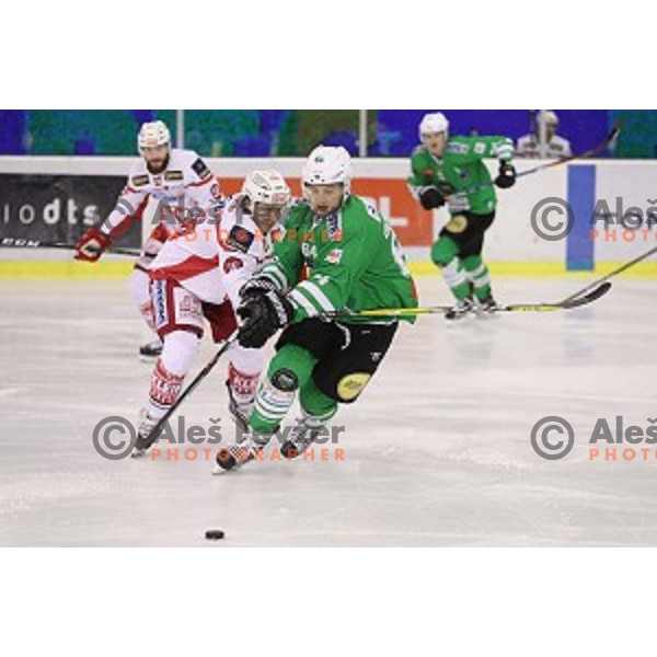 Bussieres Raphael of Olimpija Ljubljana in action during EBEL league 2016/2017 ice-hockey match between Olimpija Ljubljana and KAC in Tivoli Hall, Ljubljana, Slovenia on October 18, 2016