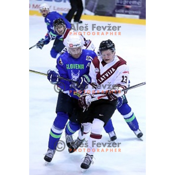 Sabahudin Kovacevic of Slovenia in action during EIHC Challenge ice-hockey match between Slovenia and Latvia in Bled Ice Hall, Slovenia on November 3, 2016