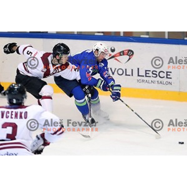 Ziga Pance of Slovenia in action during EIHC Challenge ice-hockey match between Slovenia and Latvia in Bled Ice Hall, Slovenia on November 3, 2016