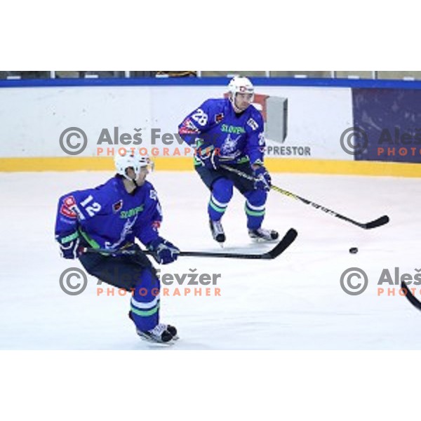 Ales Kranjc of Slovenia in action during EIHC Challenge ice-hockey match between Slovenia and Latvia in Bled Ice Hall, Slovenia on November 3, 2016