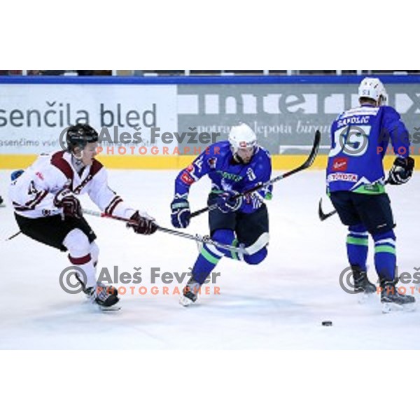 Rok Ticar of Slovenia in action during EIHC Challenge ice-hockey match between Slovenia and Latvia in Bled Ice Hall, Slovenia on November 3, 2016