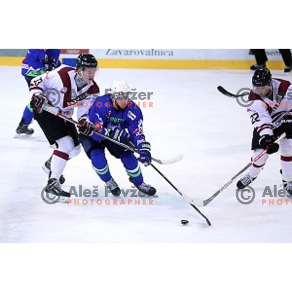 Rok Ticar of Slovenia in action during EIHC Challenge ice-hockey match between Slovenia and Latvia in Bled Ice Hall, Slovenia on November 3, 2016