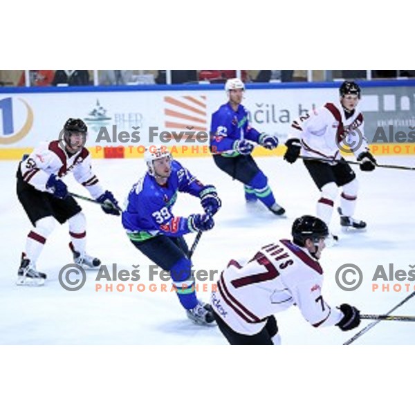 Jan Mursak of Slovenia in action during EIHC Challenge ice-hockey match between Slovenia and Latvia in Bled Ice Hall, Slovenia on November 3, 2016