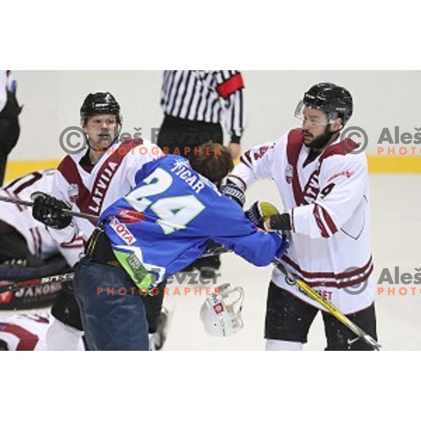 Rok Ticar of Slovenia in action during EIHC Challenge ice-hockey match between Slovenia and Latvia in Bled Ice Hall, Slovenia on November 3, 2016