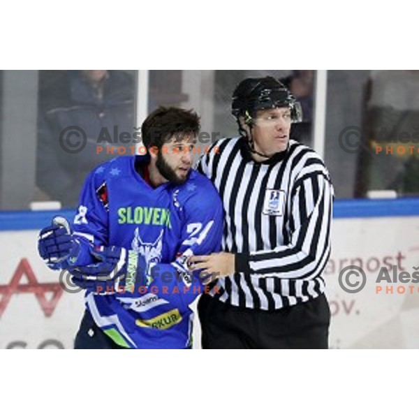Rok Ticar of Slovenia in action during EIHC Challenge ice-hockey match between Slovenia and Latvia in Bled Ice Hall, Slovenia on November 3, 2016