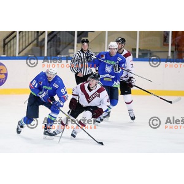 Miha Verlic of Slovenia in action during EIHC Challenge ice-hockey match between Slovenia and Latvia in Bled Ice Hall, Slovenia on November 3, 2016