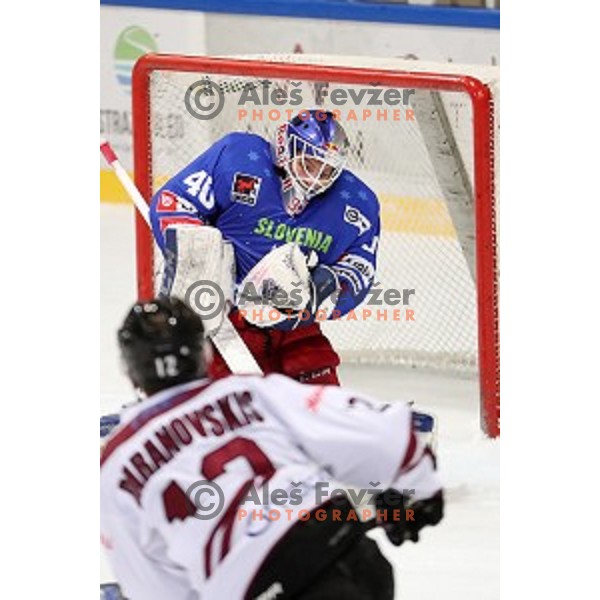 Luka Gracnar of Slovenia in action during EIHC Challenge ice-hockey match between Slovenia and Latvia in Bled Ice Hall, Slovenia on November 3, 2016