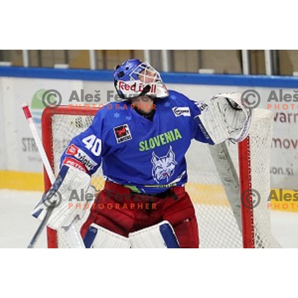 Luka Gracnar of Slovenia in action during EIHC Challenge ice-hockey match between Slovenia and Latvia in Bled Ice Hall, Slovenia on November 3, 2016