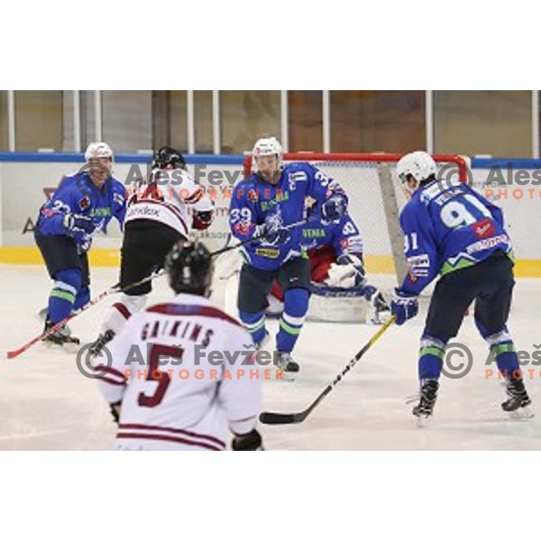 Jan Mursak of Slovenia in action during EIHC Challenge ice-hockey match between Slovenia and Latvia in Bled Ice Hall, Slovenia on November 3, 2016
