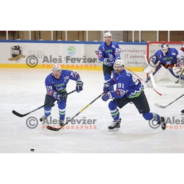 Jan Mursak and Miha Verlic of Slovenia in action during EIHC Challenge ice-hockey match between Slovenia and Latvia in Bled Ice Hall, Slovenia on November 3, 2016