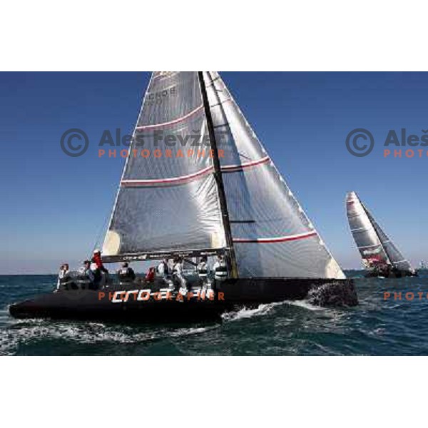 Cro-a-sail RC 44 at Sailing regatta Barcolana, Trieste, Italy 14.10.2007. Photo by Ales Fevzer 