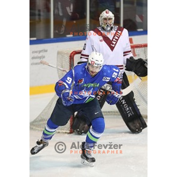 Miha Verlic of Slovenia in action during EIHC Challenge ice-hockey match between Slovenia and Latvia in Bled Ice Hall, Slovenia on November 3, 2016