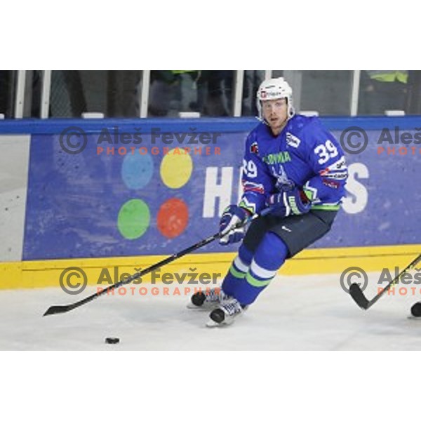 Jan Mursak of Slovenia in action during EIHC Challenge ice-hockey match between Slovenia and Latvia in Bled Ice Hall, Slovenia on November 3, 2016