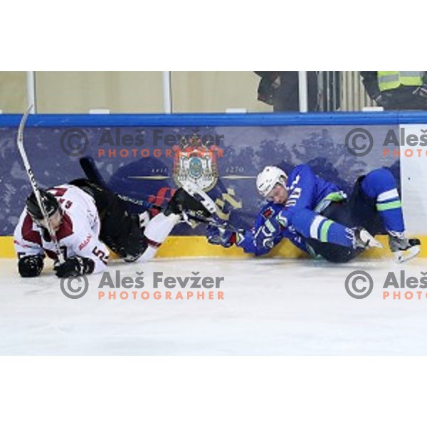 Jan Mursak of Slovenia in action during EIHC Challenge ice-hockey match between Slovenia and Latvia in Bled Ice Hall, Slovenia on November 3, 2016