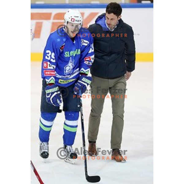 Jan Mursak of Slovenia in action during EIHC Challenge ice-hockey match between Slovenia and Latvia in Bled Ice Hall, Slovenia on November 3, 2016
