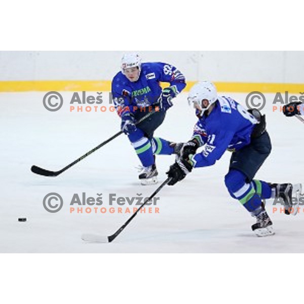 Anze Kuralt and Ziga Pesut of Slovenia in action during EIHC Challenge ice-hockey match between Slovenia and Latvia in Bled Ice Hall, Slovenia on November 3, 2016