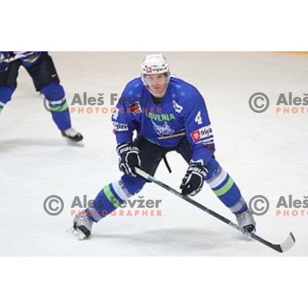 Andrej Tavzelj of Slovenia in action during EIHC Challenge ice-hockey match between Slovenia and Latvia in Bled Ice Hall, Slovenia on November 3, 2016