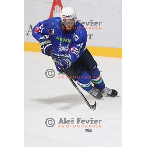 Rok Ticar of Slovenia in action during EIHC Challenge ice-hockey match between Slovenia and Latvia in Bled Ice Hall, Slovenia on November 3, 2016