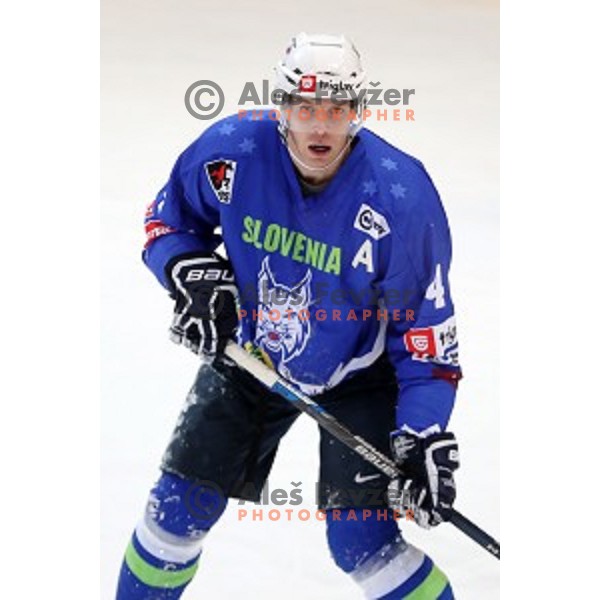 Andrej Tavzelj of Slovenia in action during EIHC Challenge ice-hockey match between Slovenia and Latvia in Bled Ice Hall, Slovenia on November 3, 2016