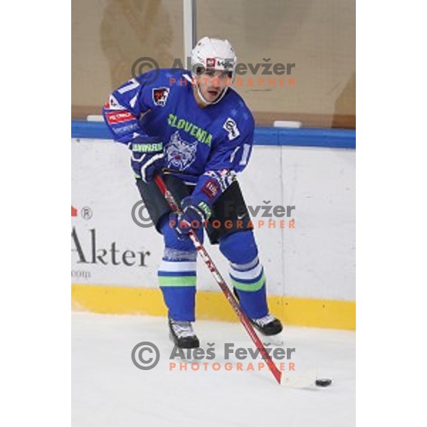 Bostjan Golicic of Slovenia in action during EIHC Challenge ice-hockey match between Slovenia and Latvia in Bled Ice Hall, Slovenia on November 3, 2016