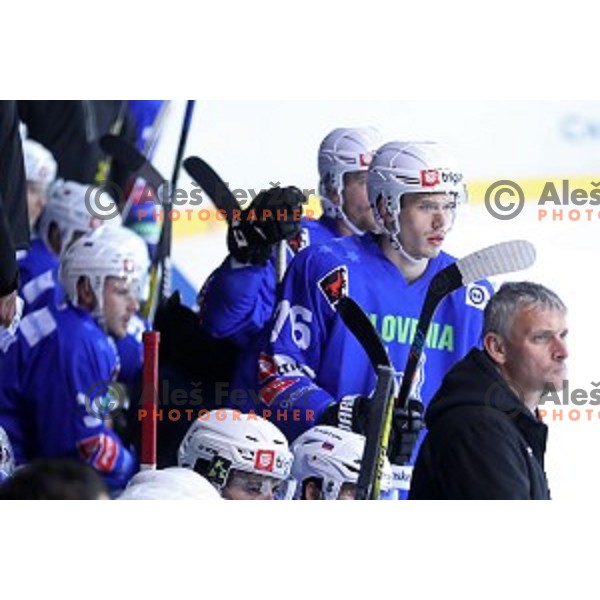 Maks Selan of Slovenia in action during EIHC Challenge ice-hockey match between Slovenia and Latvia in Bled Ice Hall, Slovenia on November 3, 2016